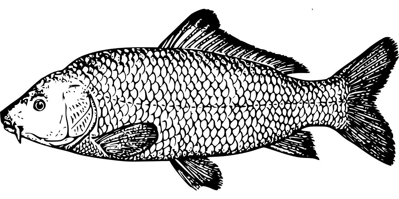 An image of a large drawing of a fish--Mercury