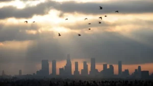 A city skyline is enclosed in smog, with slivers of light shining through