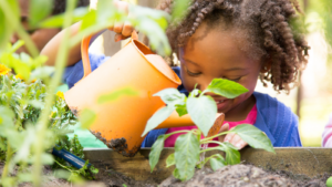 Child watering a plant with an orange watering can - Kentucky children's environmental health