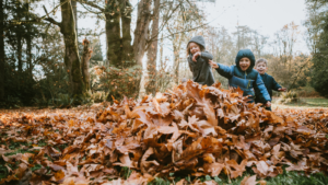 Three children playing in a pile of leaves -- Vermont children's environmental health