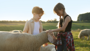 Two children petting a sheep -- Pennsylvania children's environmental health