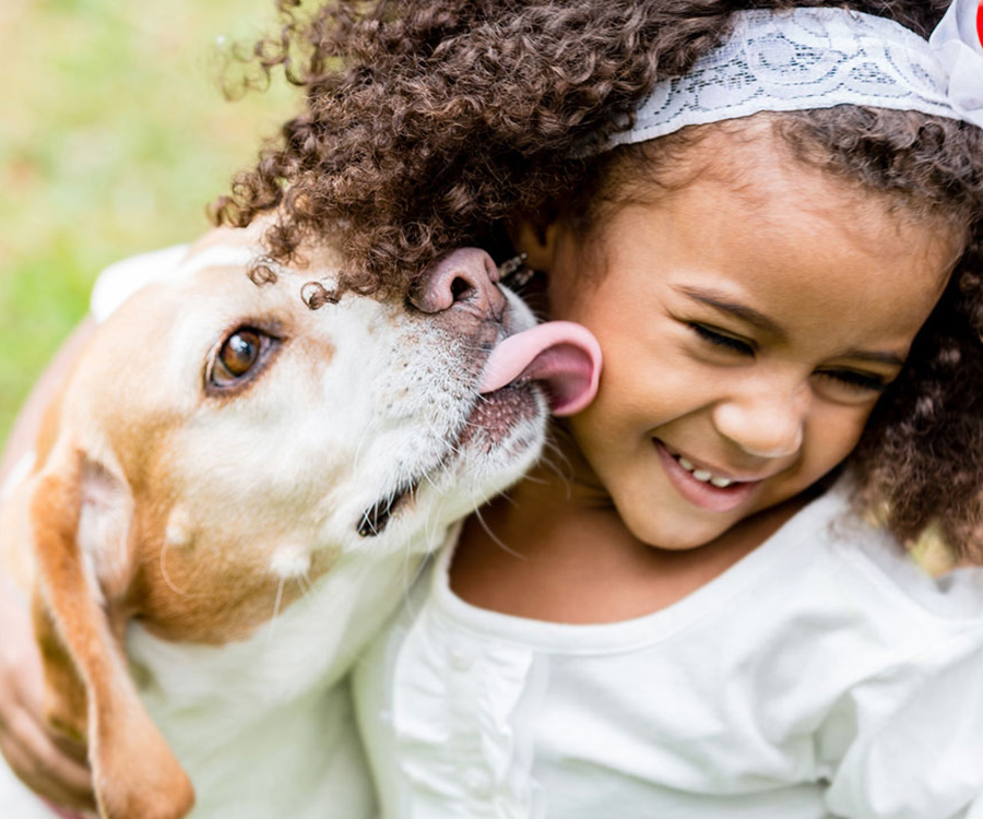 A dog licking a young girls face making her smile--Pets and Children