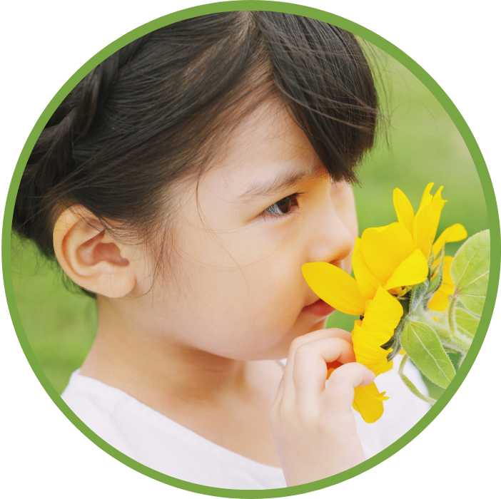 Young Asian girl smells yellow flower